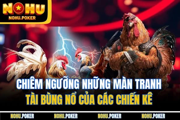 Chiêm ngưỡng những màn tranh tài bùng nổ của các chiến kê Chiêm ngưỡng những màn tranh tài bùng nổ của các chiến kê