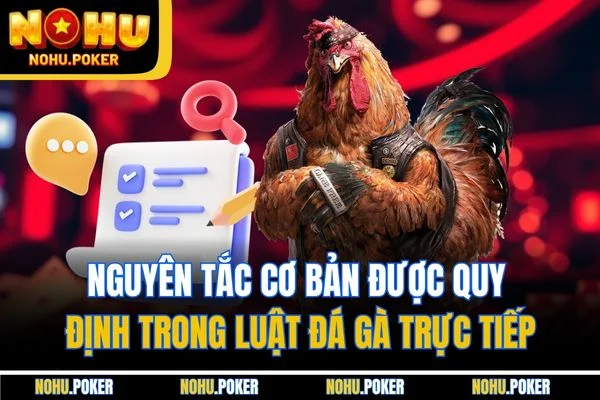 Nguyên tắc cơ bản được quy định trong luật đá gà trực tiếp Nguyên tắc cơ bản được quy định trong luật đá gà trực tiếp